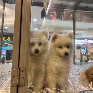 Meet your Posher, Zeinab